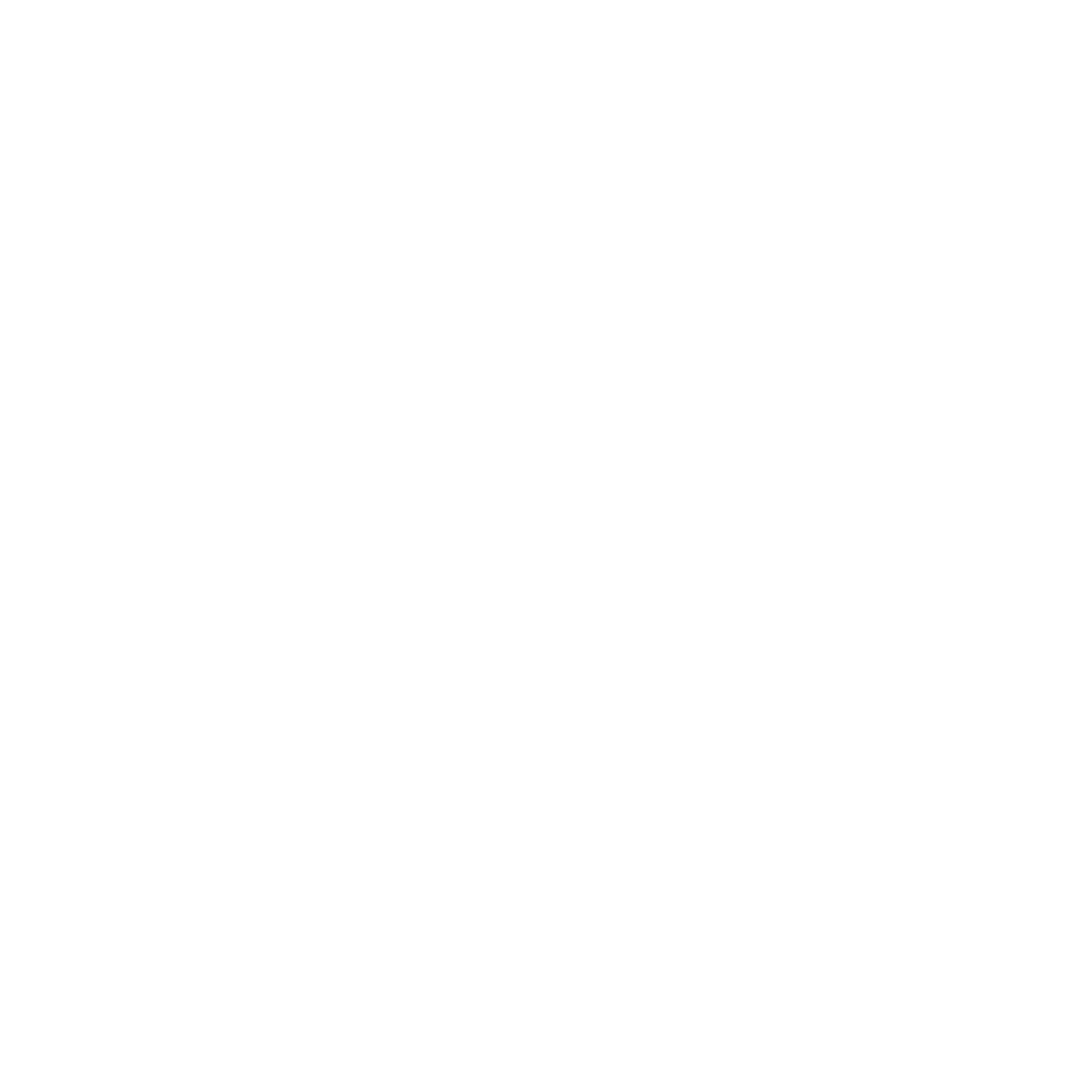 Fly Bridge Co.